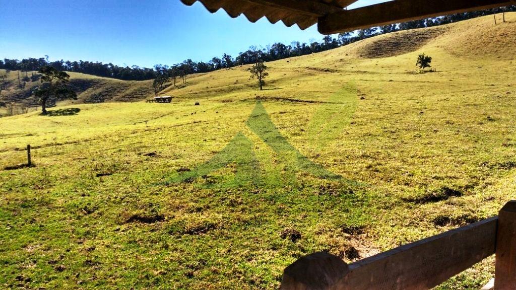 Fazenda, 242 hectares - Foto 12