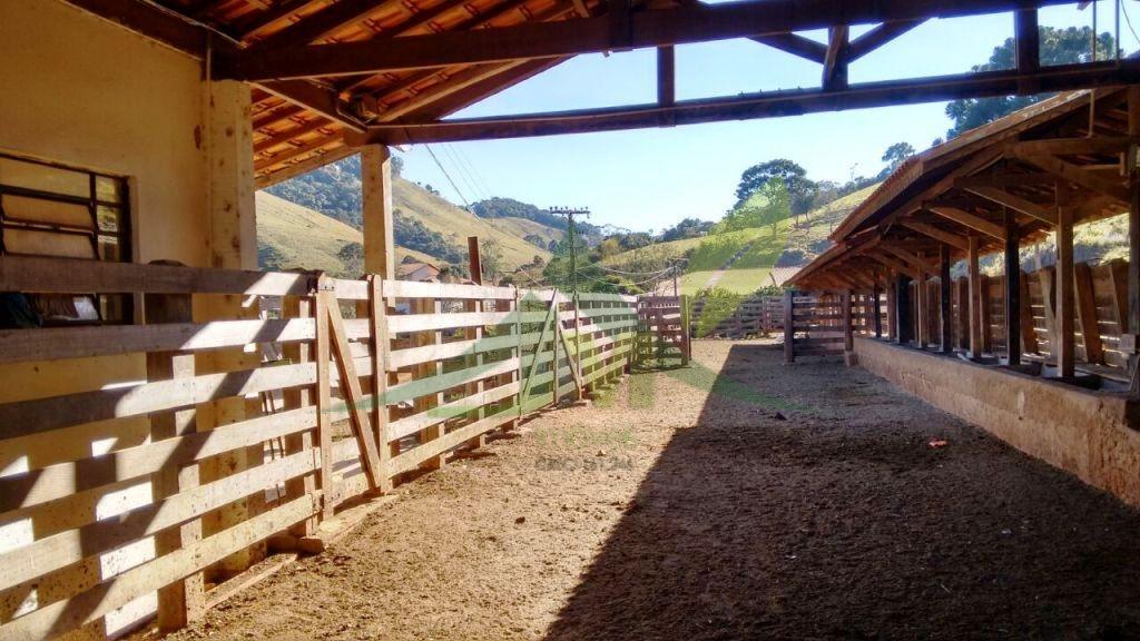 Fazenda, 242 hectares - Foto 15