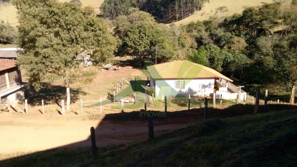 Fazenda, 242 hectares - Foto 20