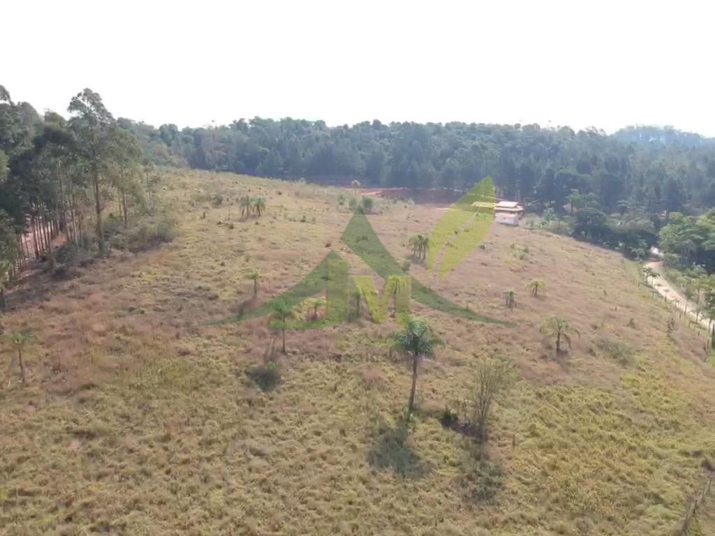 Terreno, 2 hectares - Foto 10
