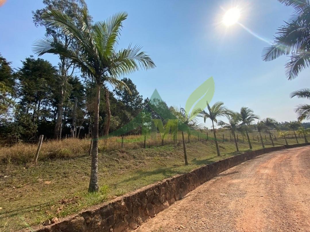Terreno, 2 hectares - Foto 1