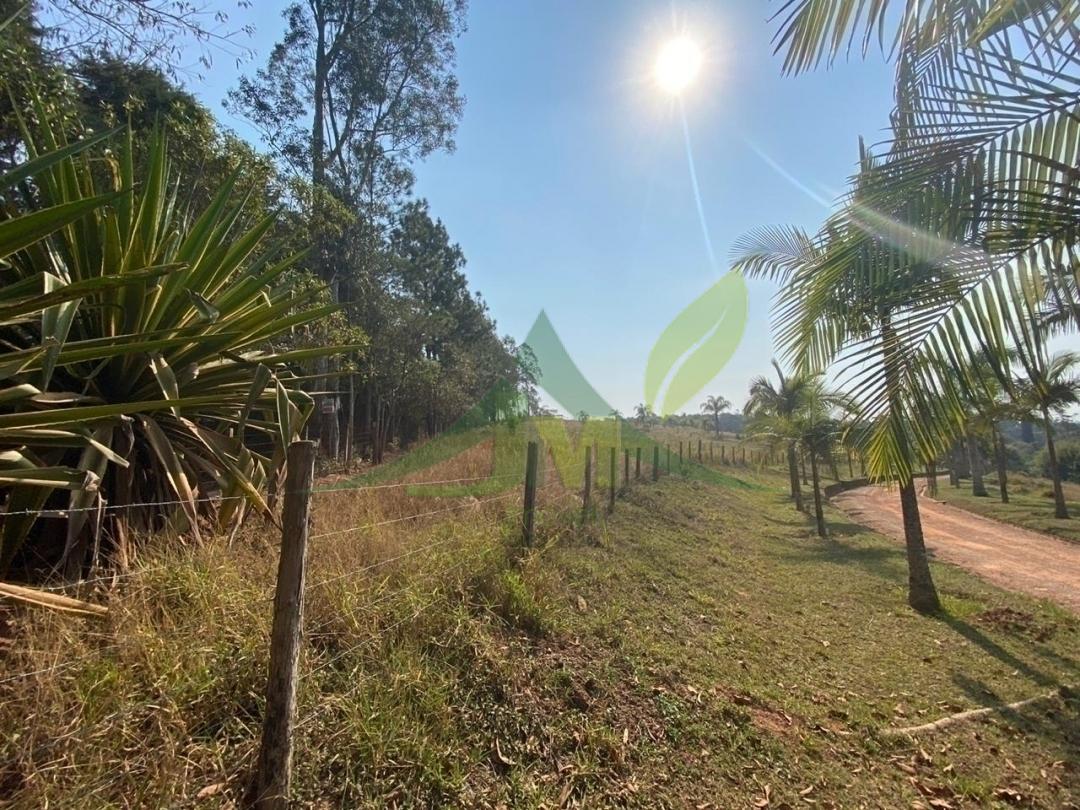 Terreno, 2 hectares - Foto 6
