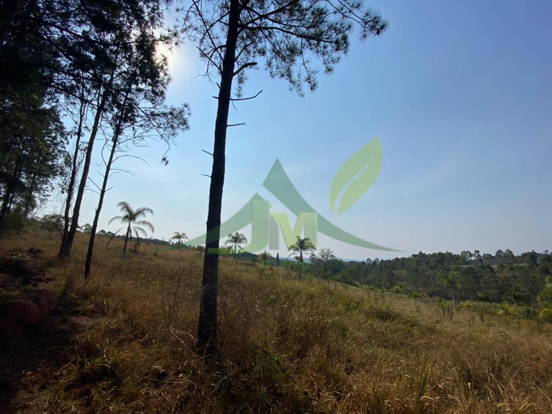 Terreno, 2 hectares - Foto 4