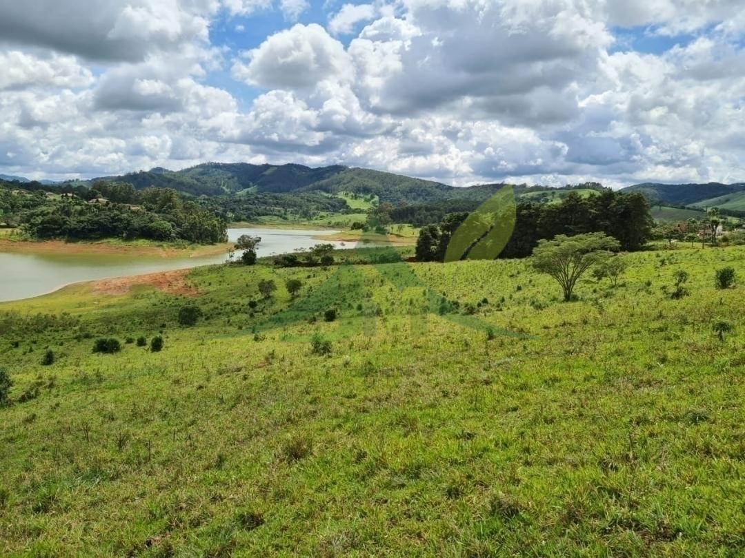 Terreno, 6 hectares - Foto 8