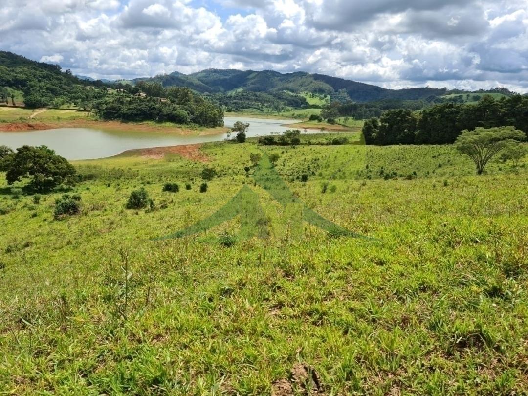 Terreno, 6 hectares - Foto 9