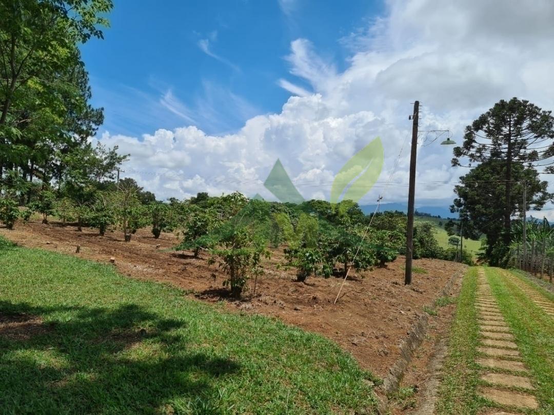 Sítio, 5 quartos, 1 hectares - Foto 9