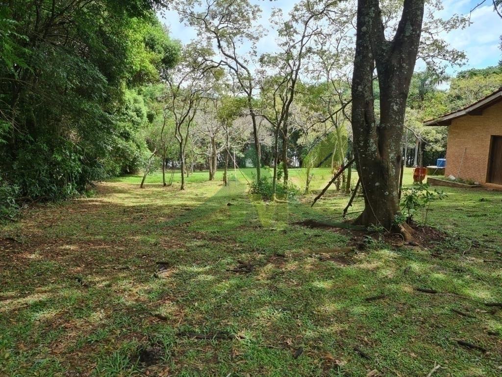 Sítio, 2 quartos, 6000 m² - Foto 12