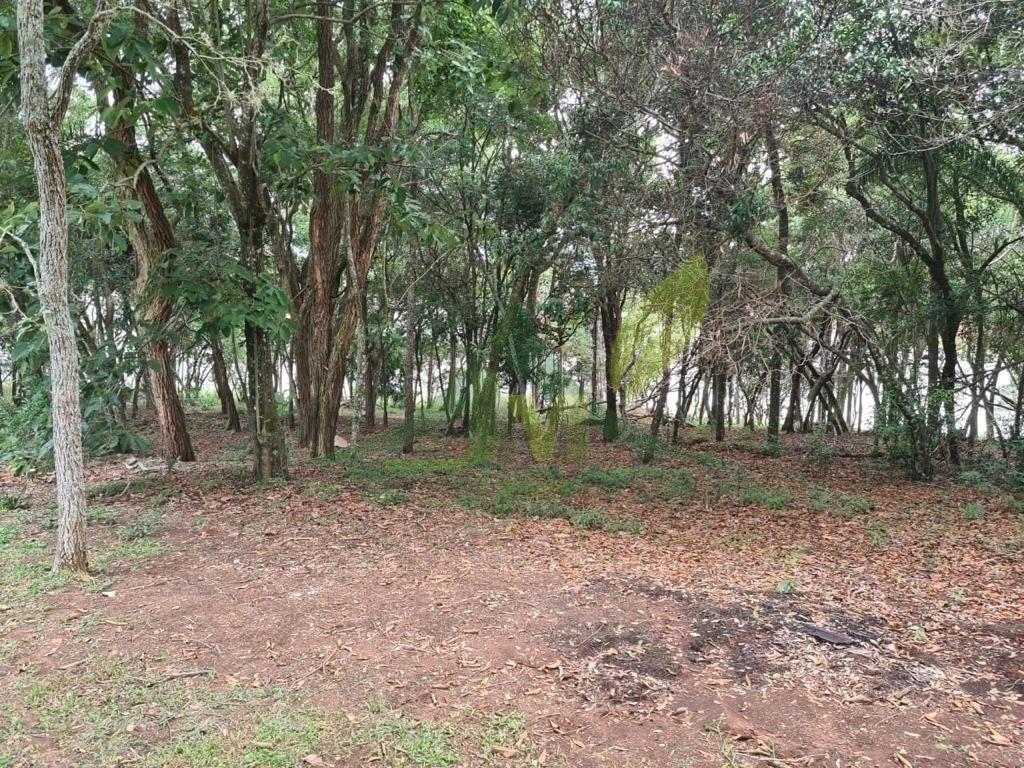 Sítio, 2 quartos, 6000 m² - Foto 9