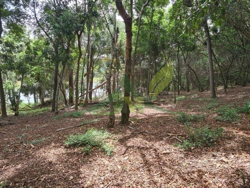 Sítio, 2 quartos, 6000 m² - Foto 5