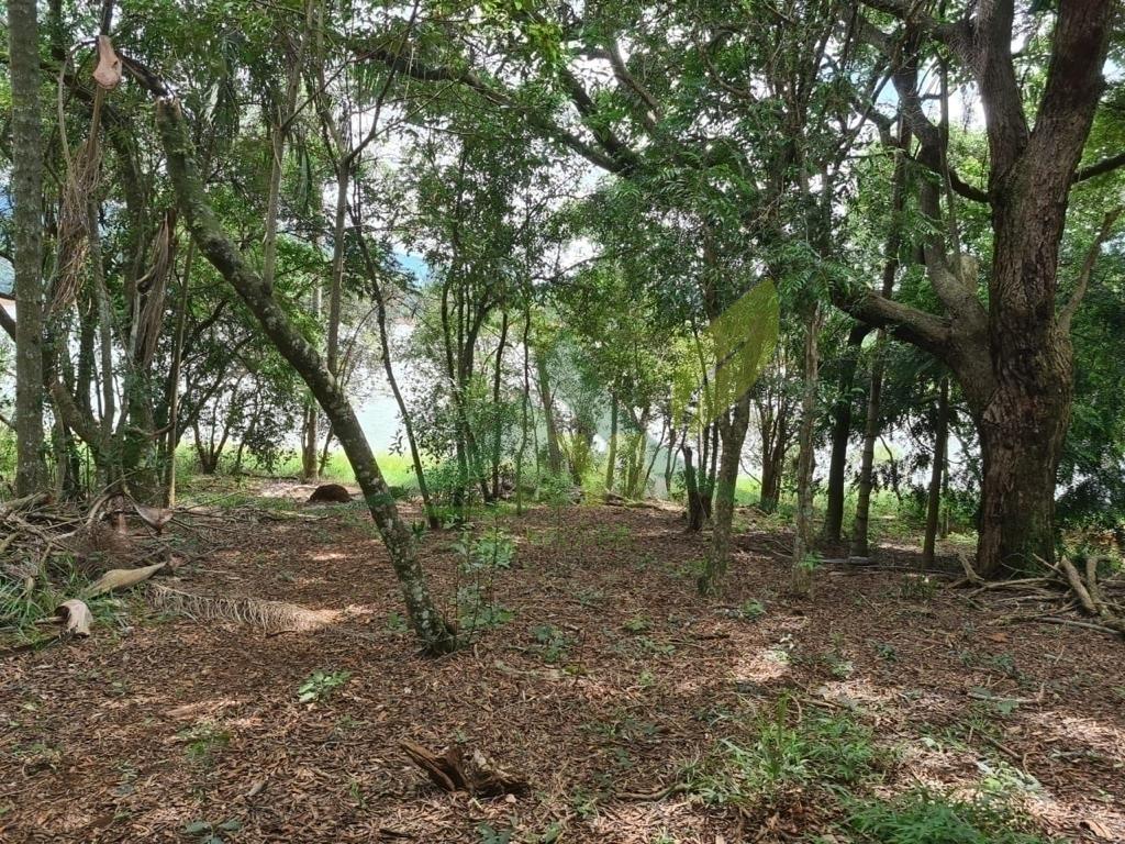 Sítio, 2 quartos, 6000 m² - Foto 4