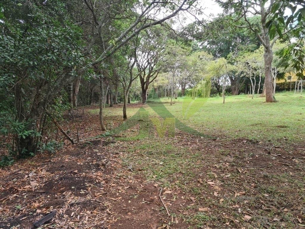 Sítio, 2 quartos, 6000 m² - Foto 7