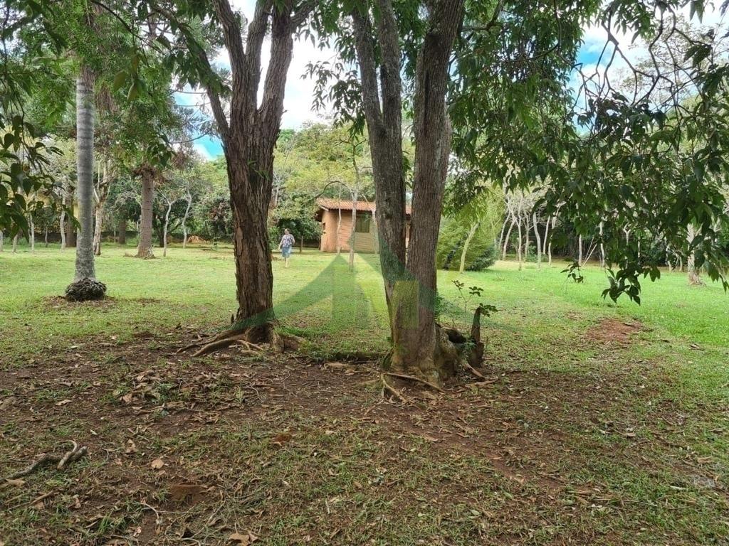 Sítio, 2 quartos, 6000 m² - Foto 8