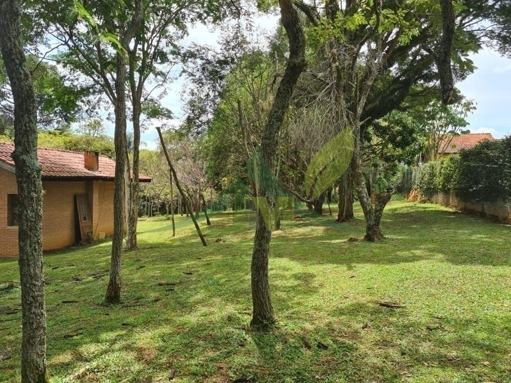 Sítio, 2 quartos, 6000 m² - Foto 11