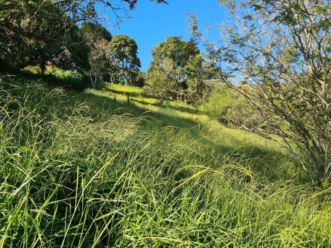 Terreno, 2 hectares - Foto 4