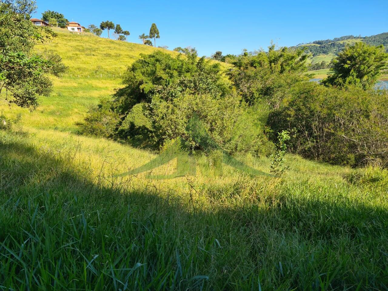 Terreno, 2 hectares - Foto 8