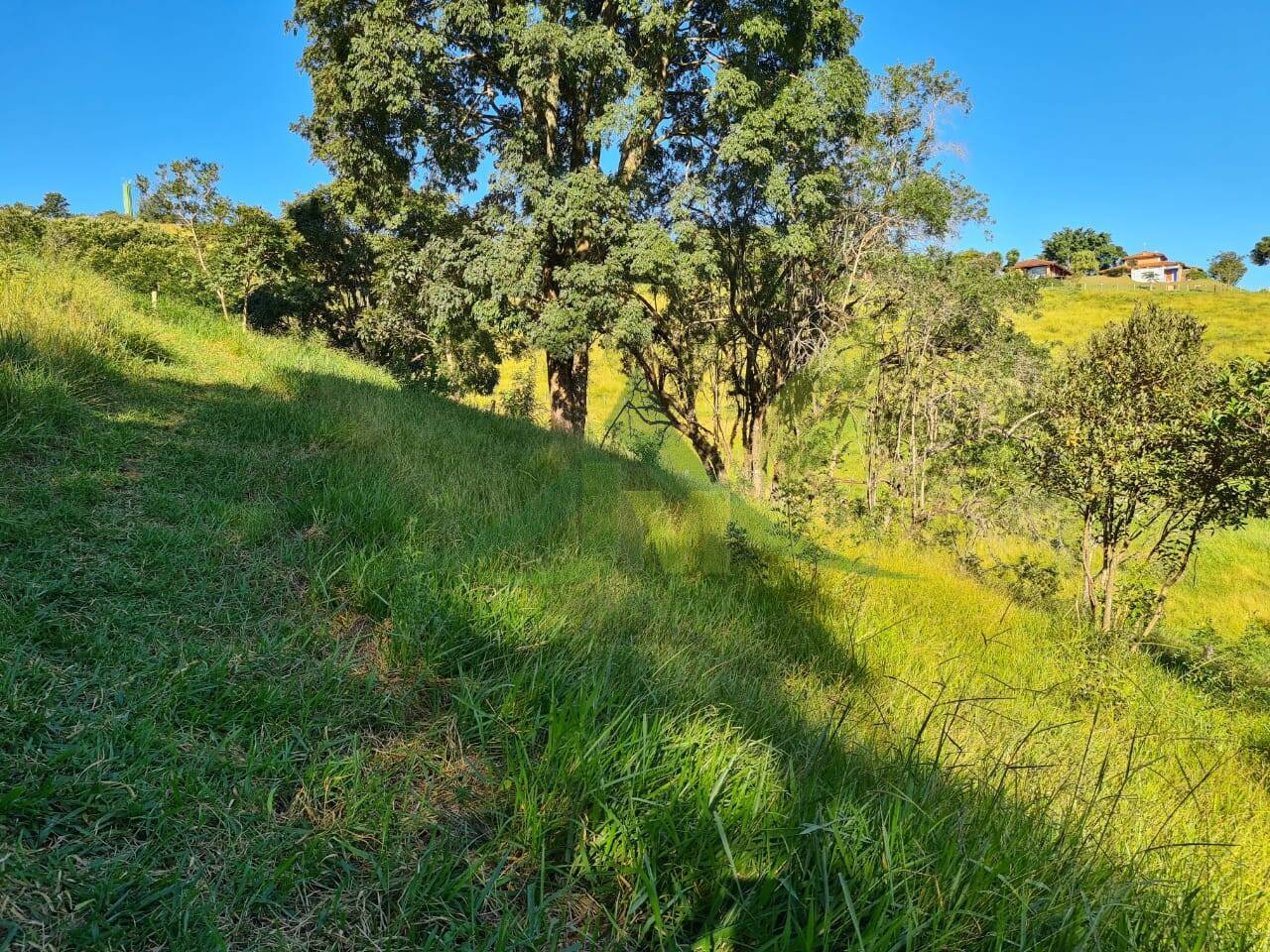Terreno, 2 hectares - Foto 9