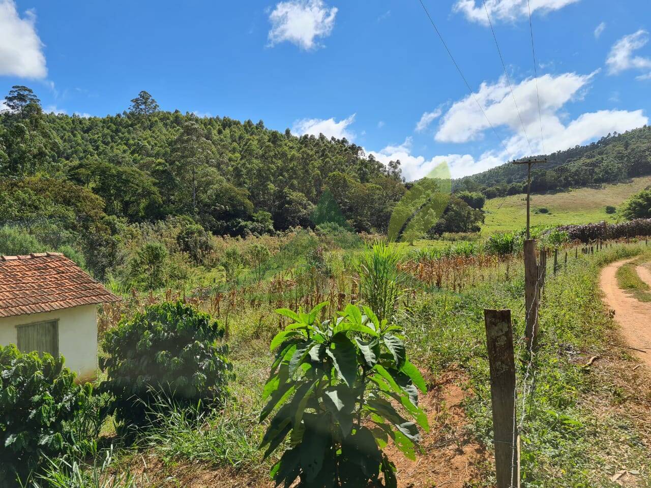 Sítio, 2 quartos, 484 hectares - Foto 3