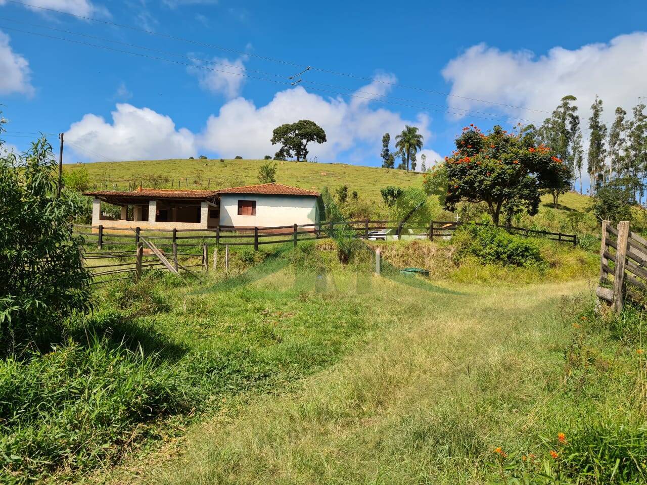 Sítio, 2 quartos, 484 hectares - Foto 6