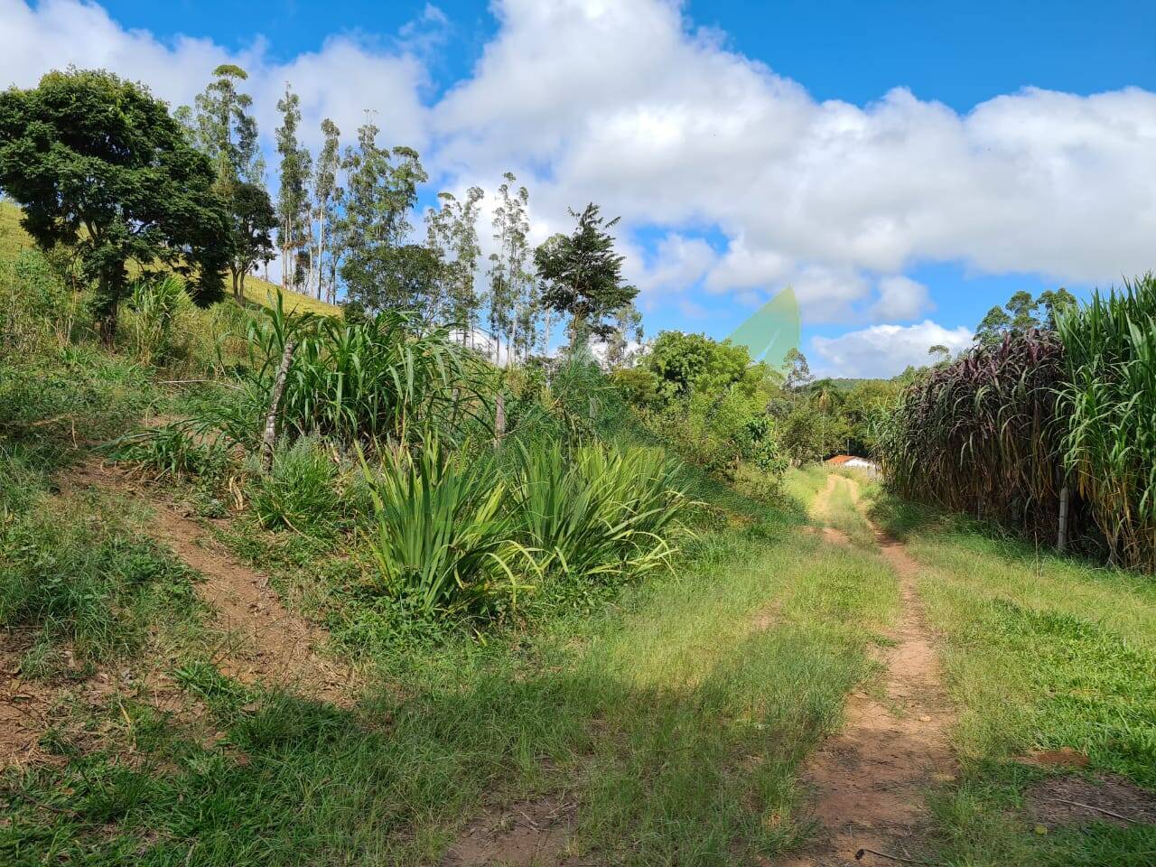 Sítio, 2 quartos, 484 hectares - Foto 7