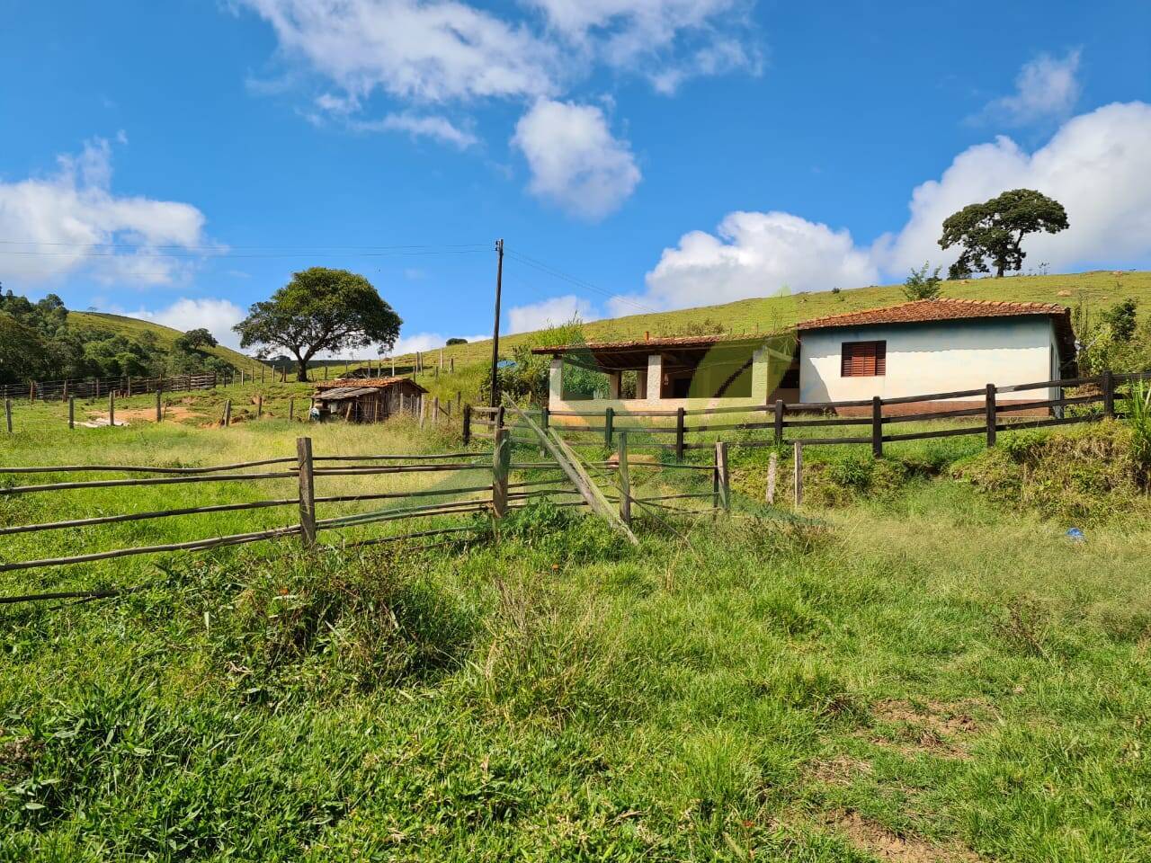 Sítio, 2 quartos, 484 hectares - Foto 10