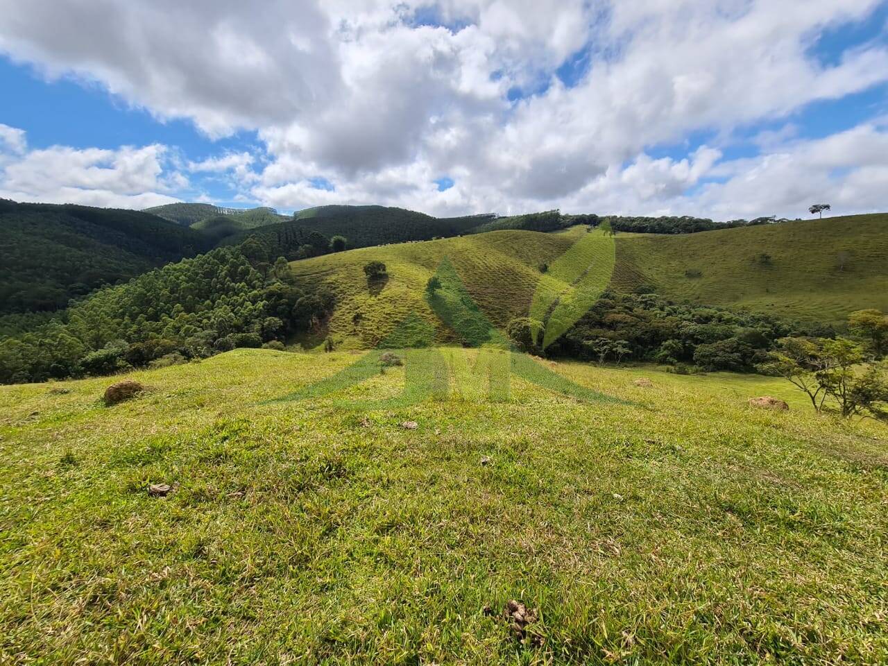 Sítio, 2 quartos, 484 hectares - Foto 11