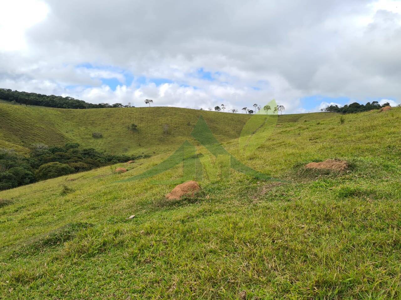 Sítio, 2 quartos, 484 hectares - Foto 14
