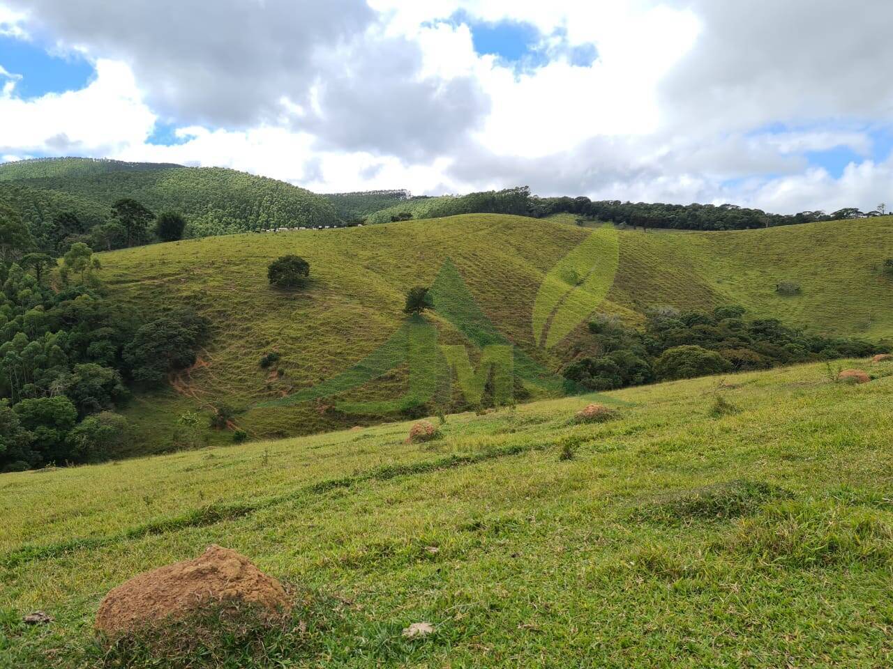 Sítio, 2 quartos, 484 hectares - Foto 15