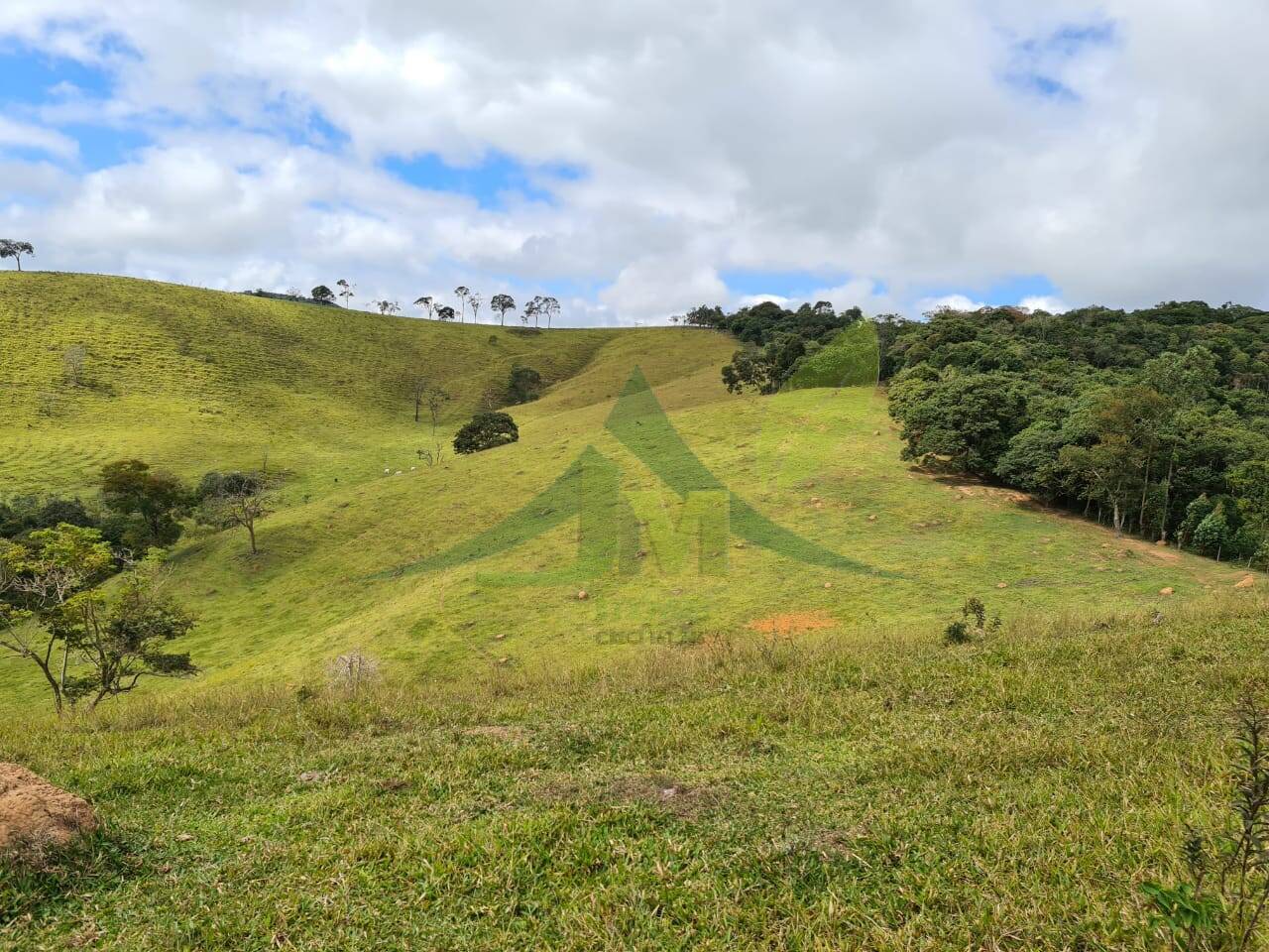 Sítio, 2 quartos, 484 hectares - Foto 17