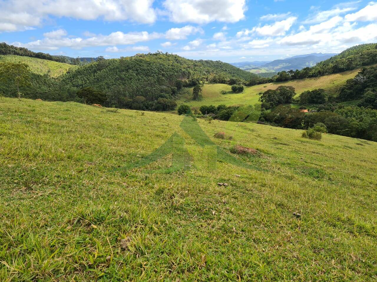 Sítio, 2 quartos, 484 hectares - Foto 16