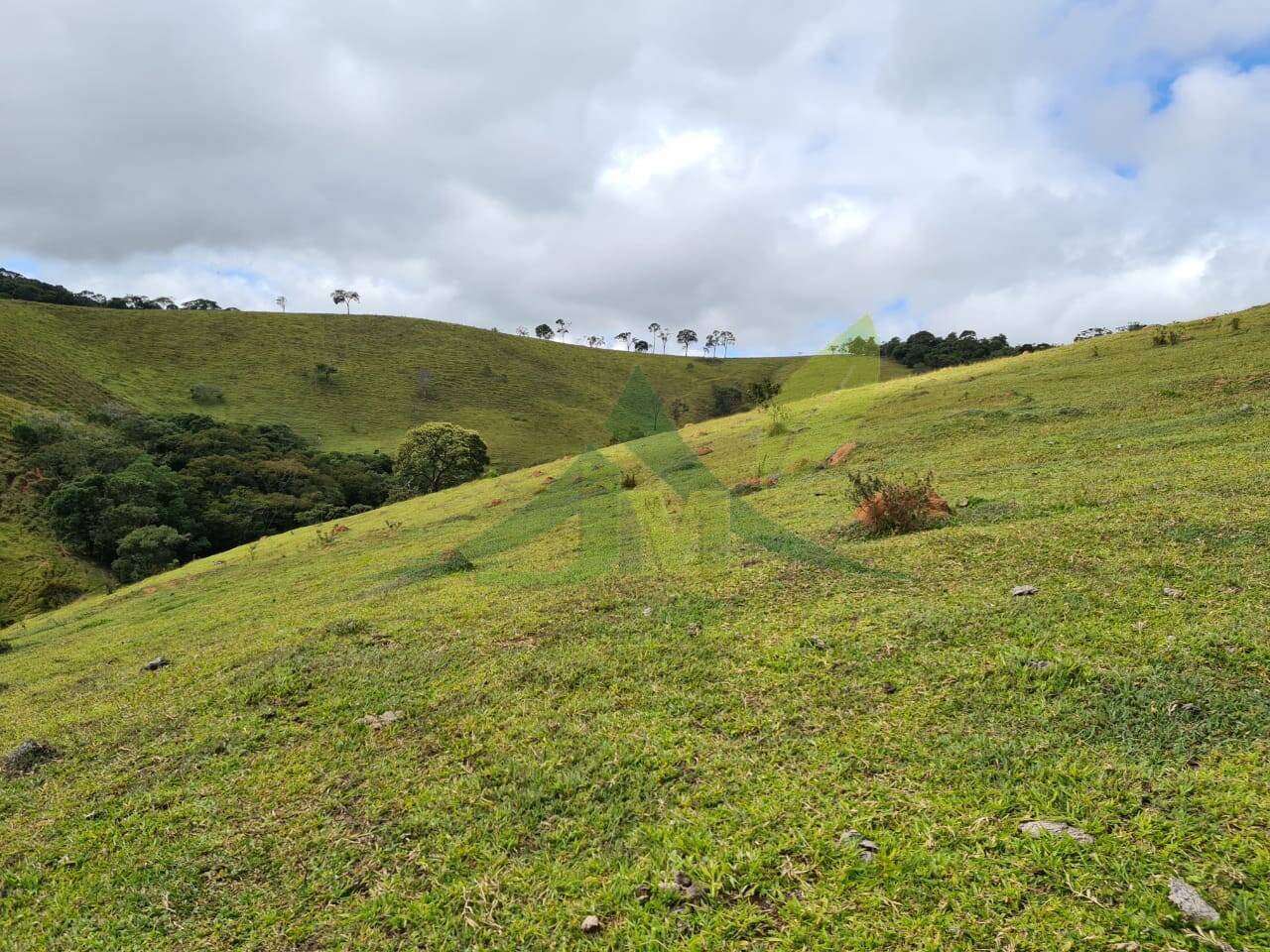 Sítio, 2 quartos, 484 hectares - Foto 20
