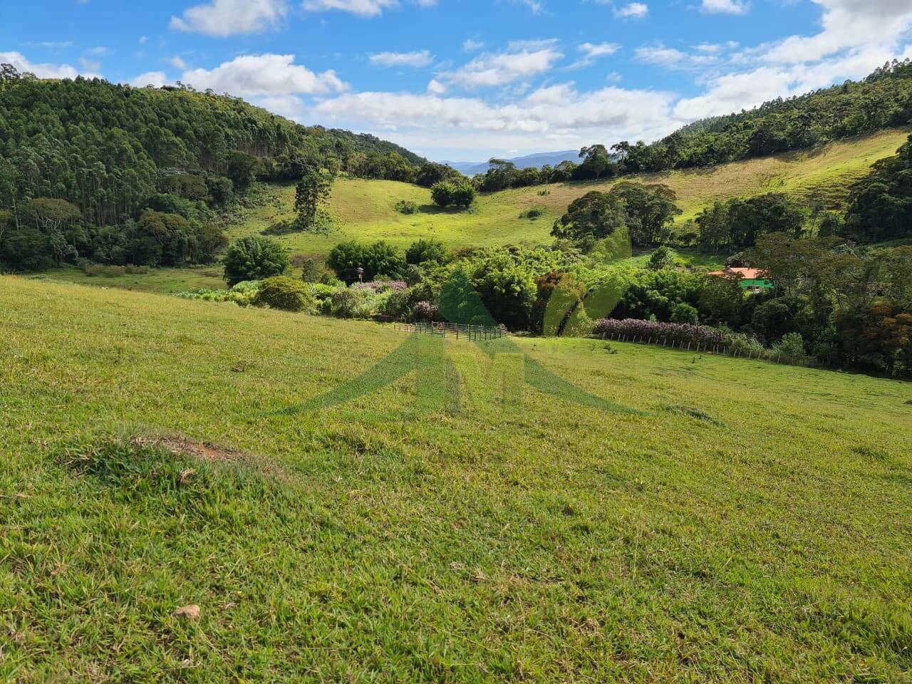 Sítio, 2 quartos, 484 hectares - Foto 23
