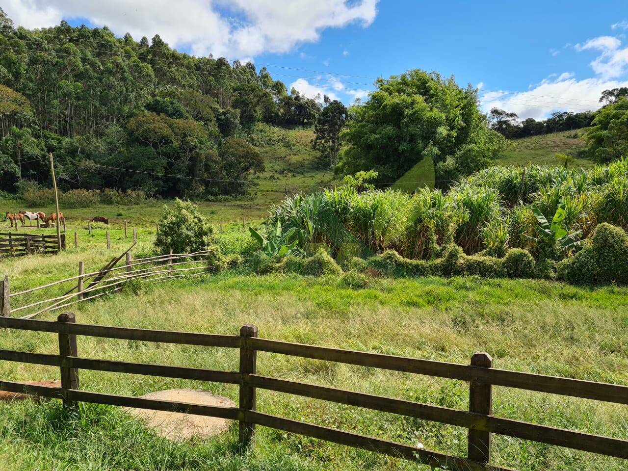 Sítio, 2 quartos, 484 hectares - Foto 30