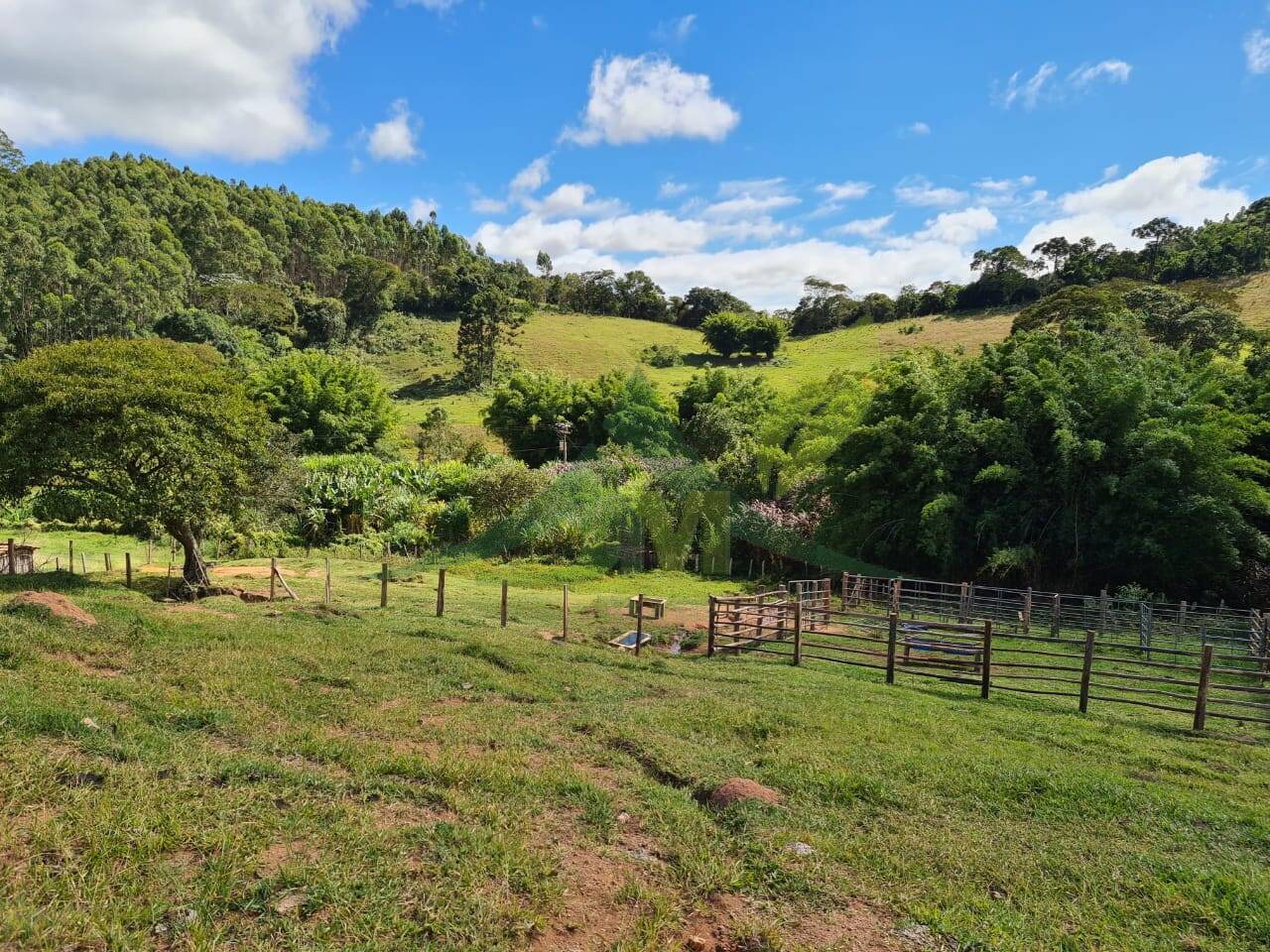 Sítio, 2 quartos, 484 hectares - Foto 1