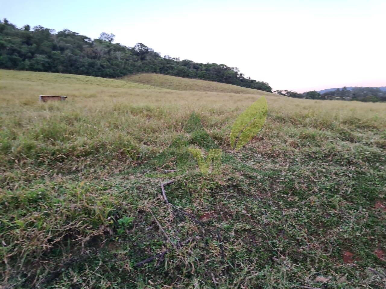 Sítio, 4 quartos, 75 hectares - Foto 8