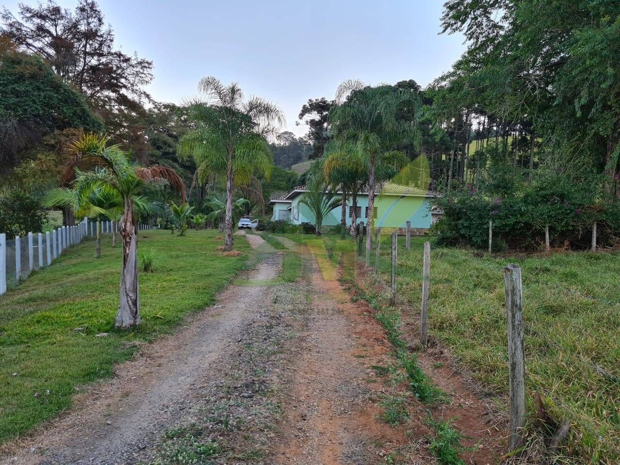 Sítio, 4 quartos, 75 hectares - Foto 3