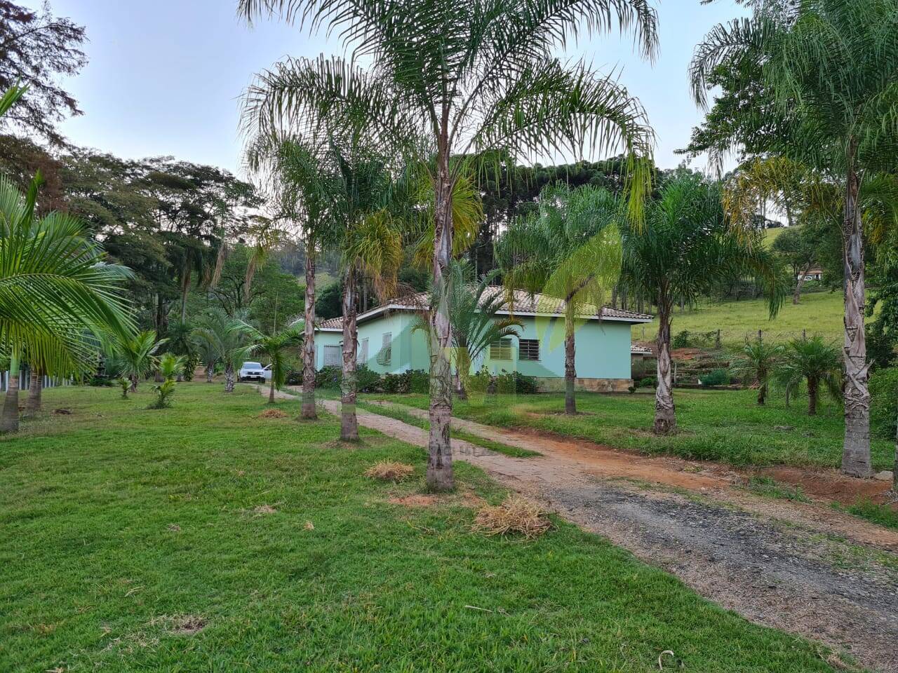 Sítio, 4 quartos, 75 hectares - Foto 7