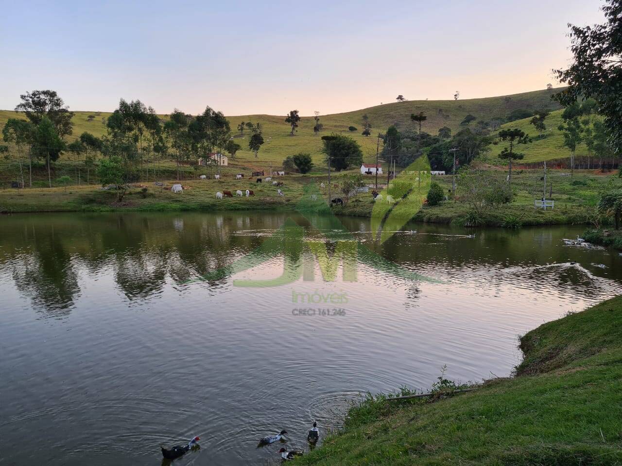Sítio, 4 quartos, 75 hectares - Foto 10