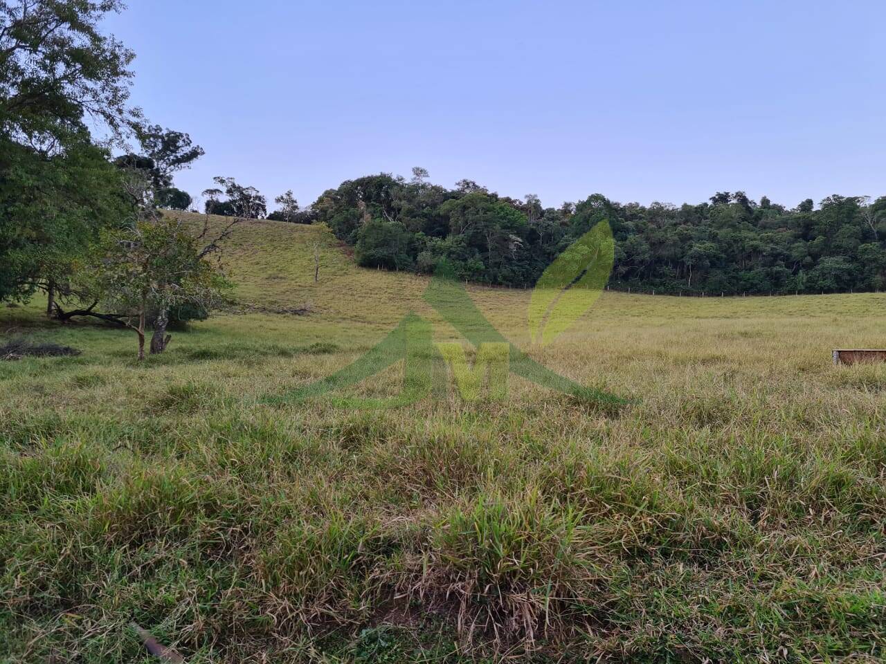 Sítio, 4 quartos, 75 hectares - Foto 9