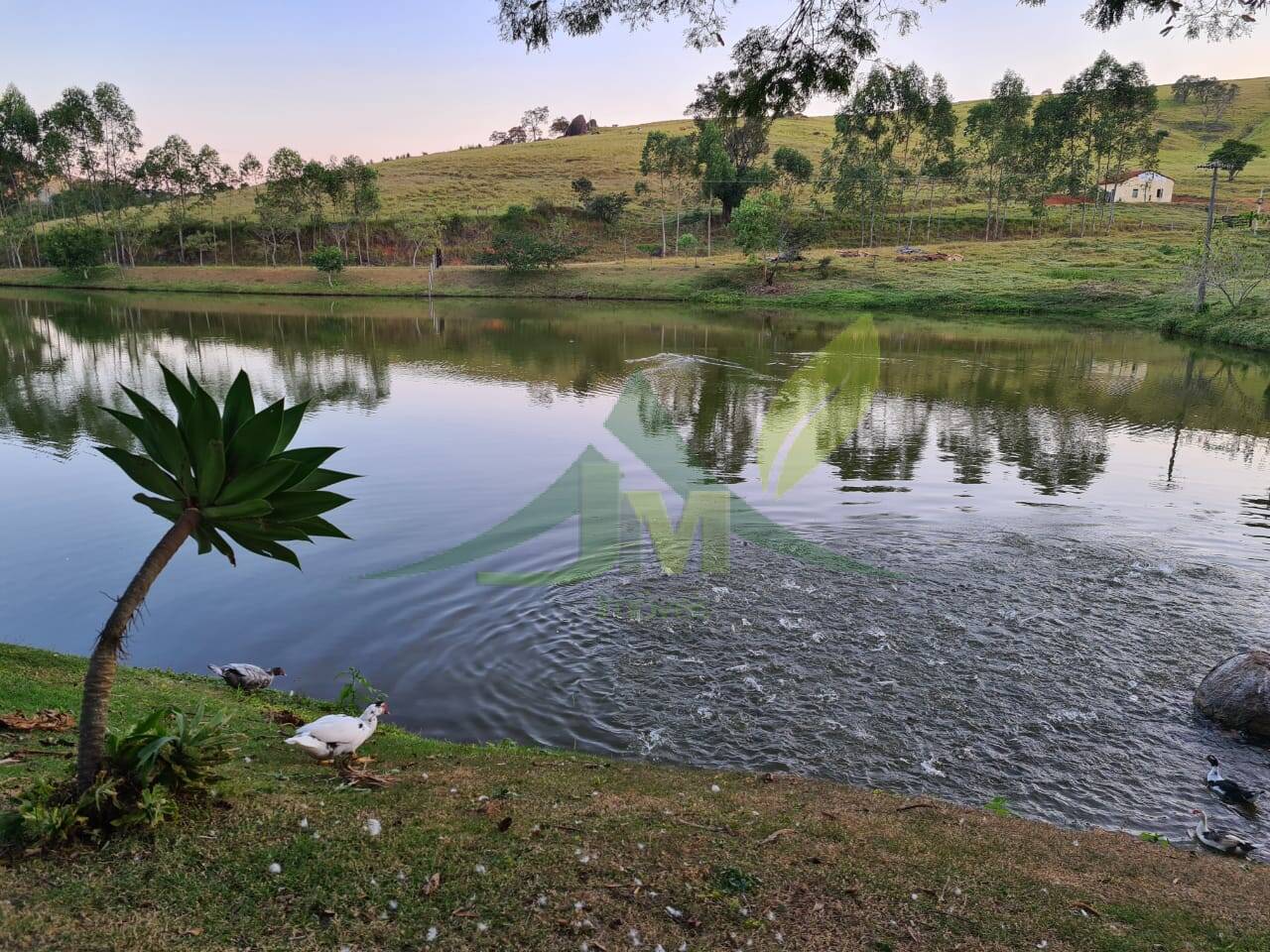 Sítio, 4 quartos, 75 hectares - Foto 6