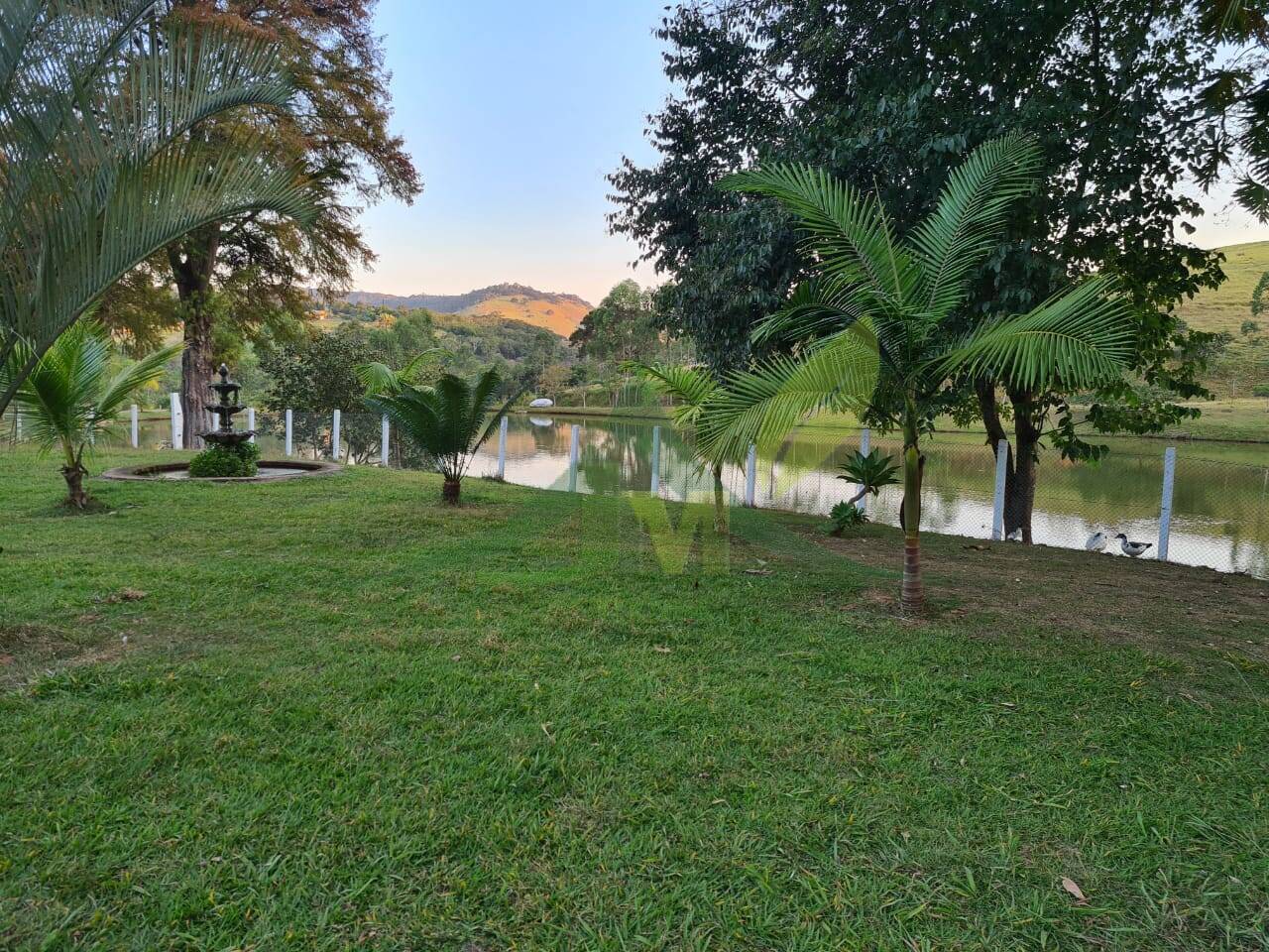 Sítio, 4 quartos, 75 hectares - Foto 14
