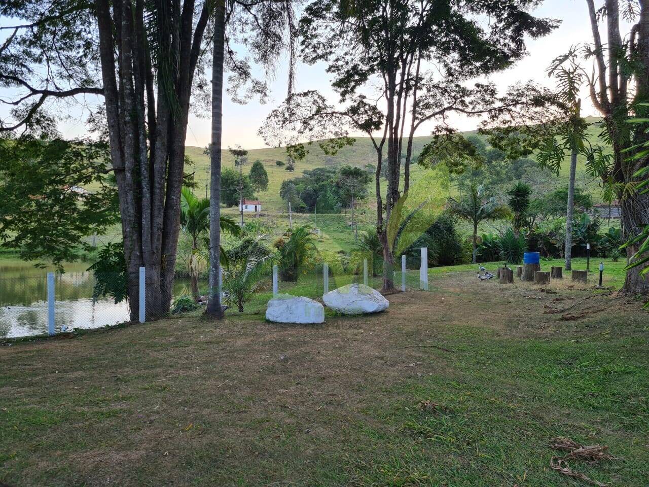 Sítio, 4 quartos, 75 hectares - Foto 13