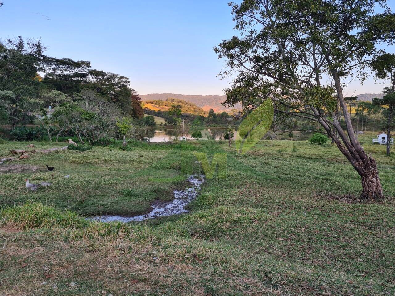 Sítio, 4 quartos, 75 hectares - Foto 17