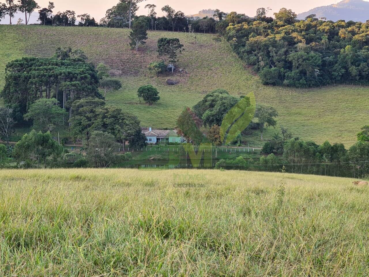 Sítio, 4 quartos, 75 hectares - Foto 1