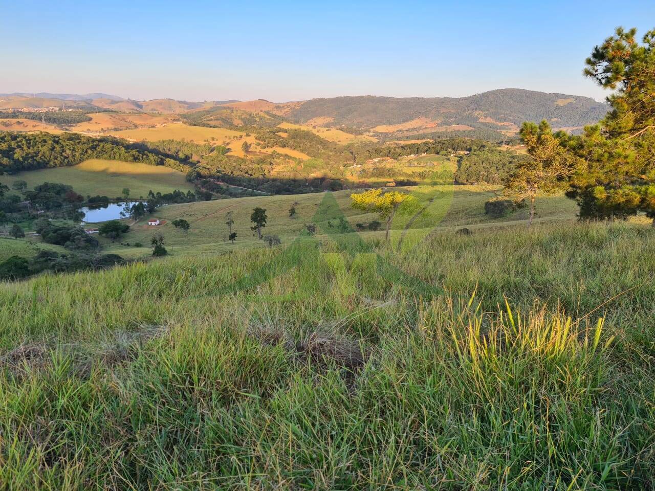 Sítio, 4 quartos, 75 hectares - Foto 25