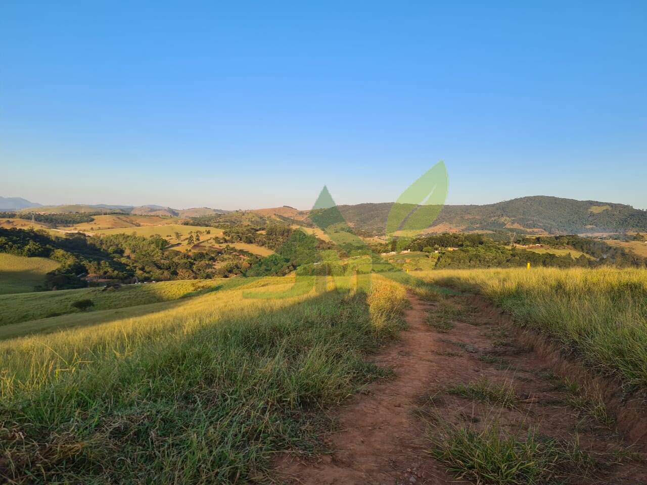 Sítio, 4 quartos, 75 hectares - Foto 31