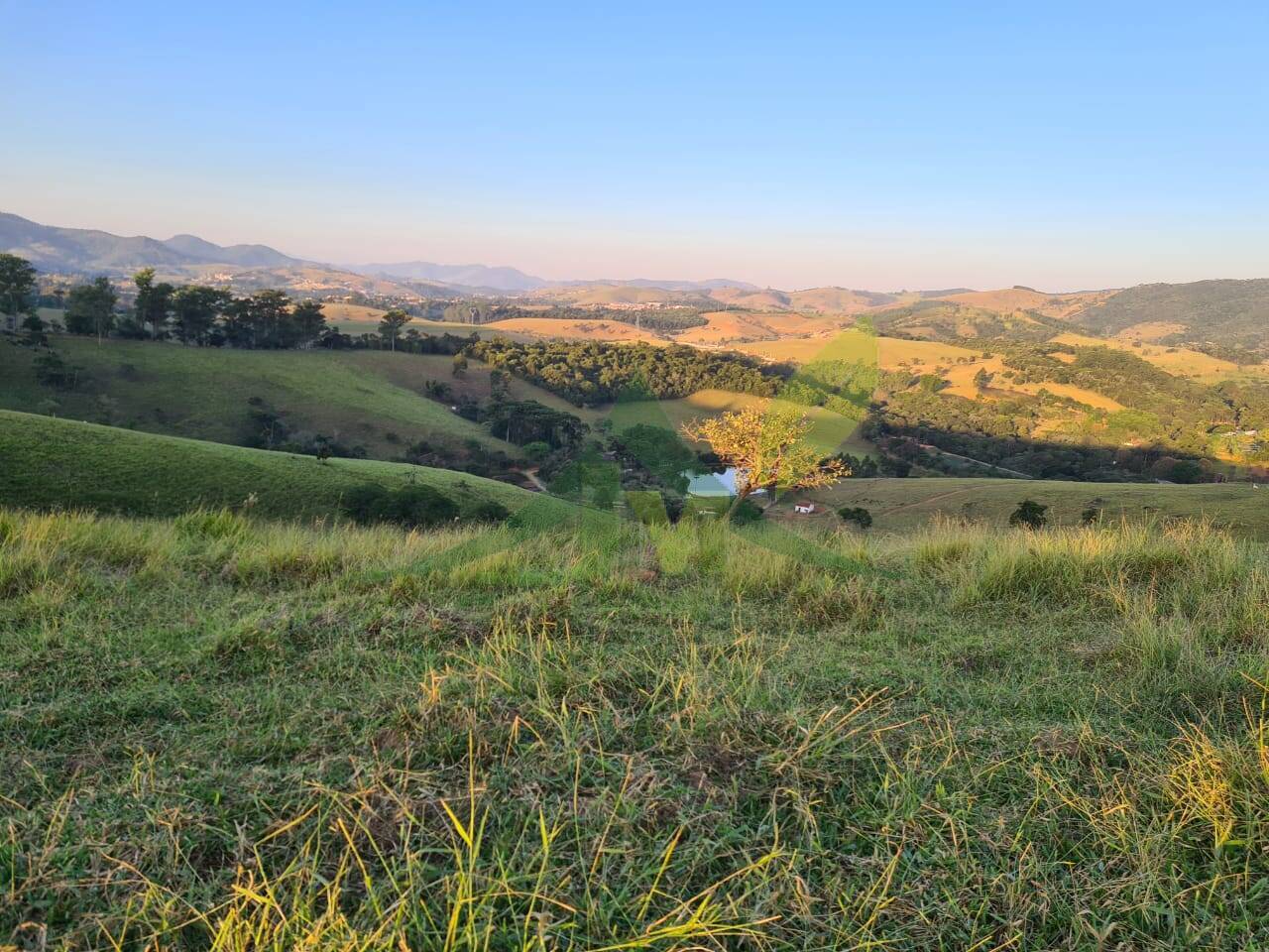 Sítio, 4 quartos, 75 hectares - Foto 27