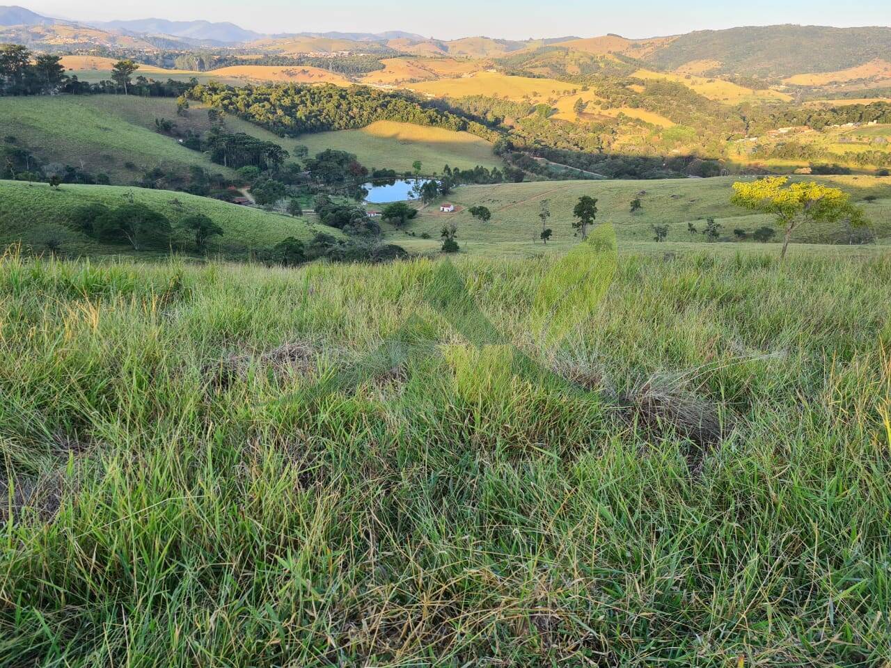 Sítio, 4 quartos, 75 hectares - Foto 33