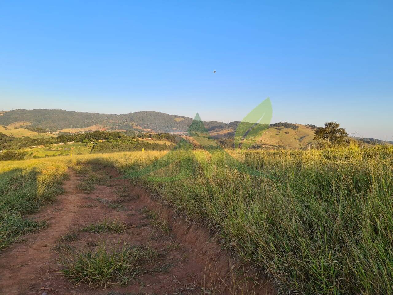 Sítio, 4 quartos, 75 hectares - Foto 32