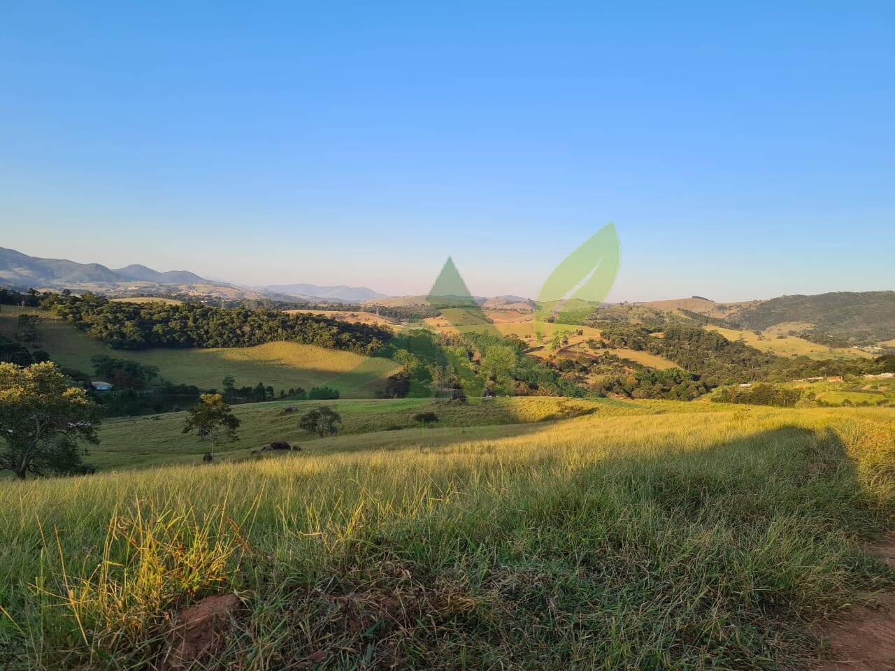Sítio, 4 quartos, 75 hectares - Foto 30