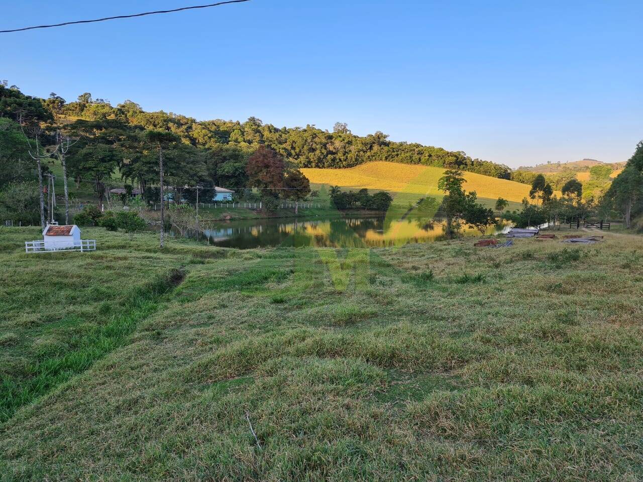 Sítio, 4 quartos, 75 hectares - Foto 36